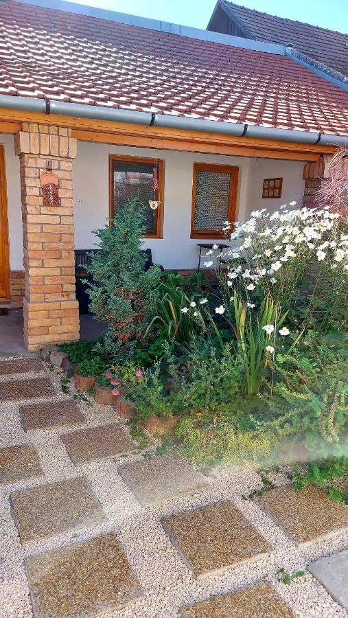 Mandula Apartman Segedín Exteriér fotografie